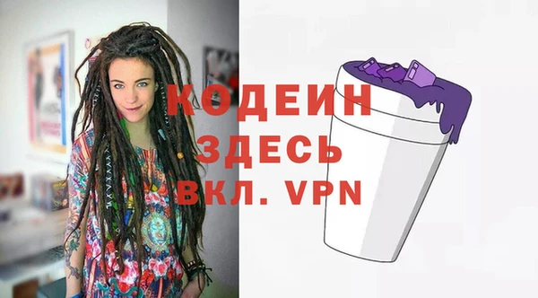 ECSTASY Бородино