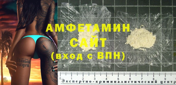 ECSTASY Бородино