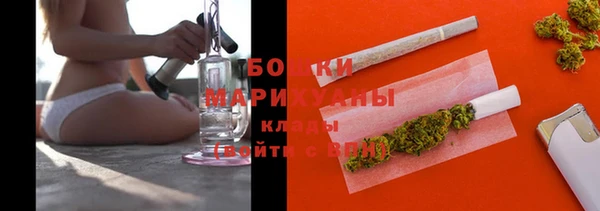 ECSTASY Бородино
