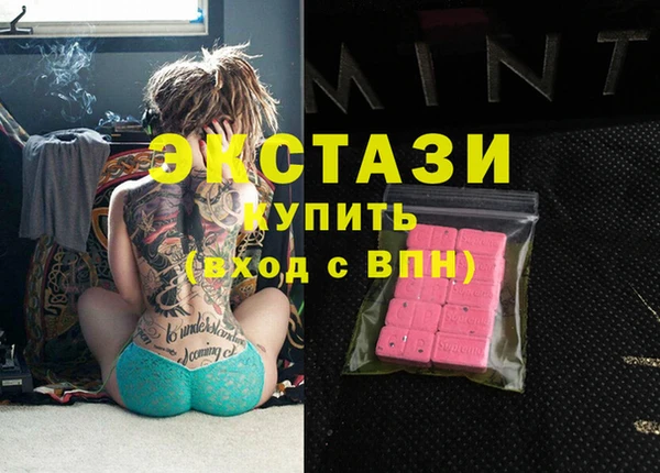ECSTASY Бородино