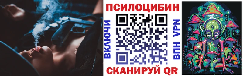 Псилоцибиновые грибы Psilocybe Приморско-Ахтарск