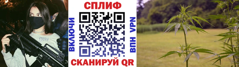 мориарти какой сайт  Приморско-Ахтарск  Каннабис THC 21% 